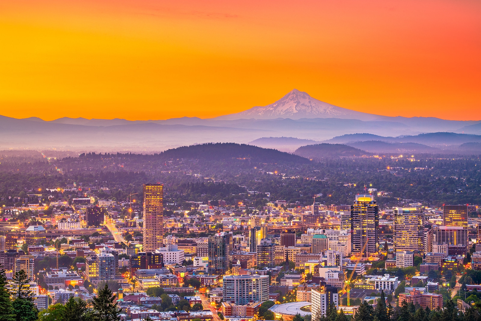 Cooper Dubois Portland