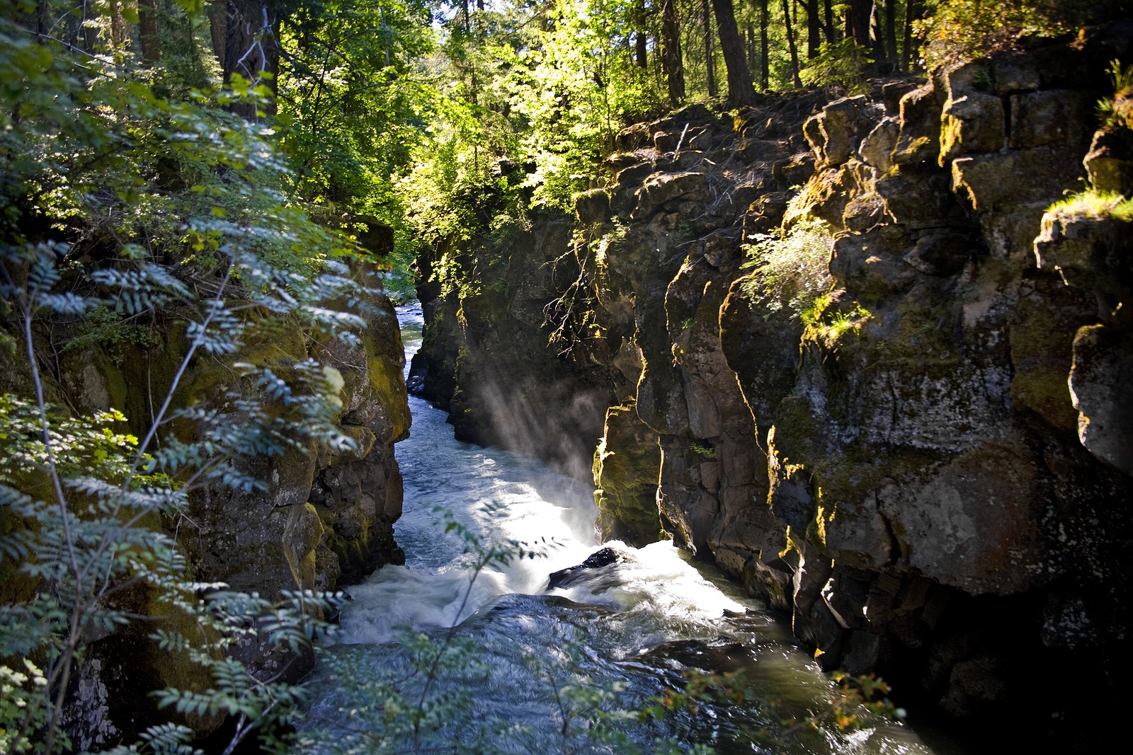 Sun beams down on the Rogue River Gorg